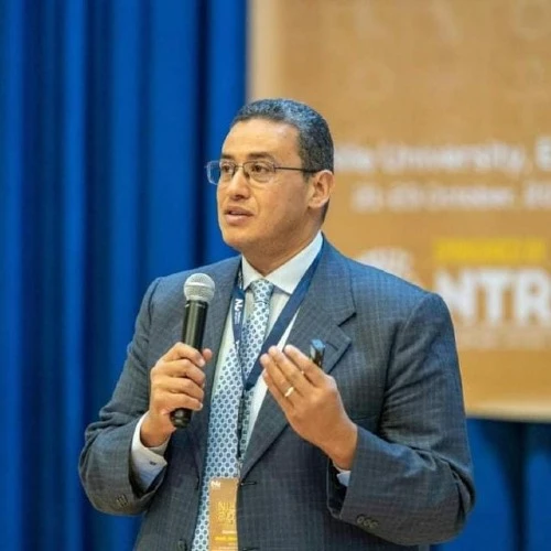 Prof. Ahmed  Madian